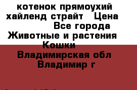 котенок прямоухий  хайленд страйт › Цена ­ 10 000 - Все города Животные и растения » Кошки   . Владимирская обл.,Владимир г.